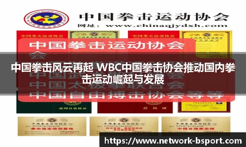 中国拳击风云再起 WBC中国拳击协会推动国内拳击运动崛起与发展