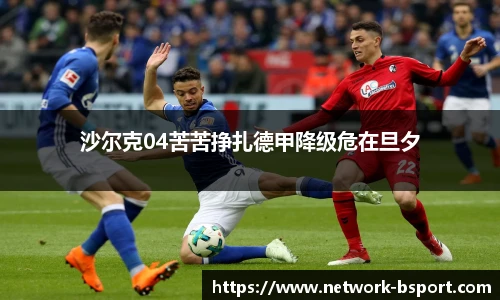 沙尔克04苦苦挣扎德甲降级危在旦夕