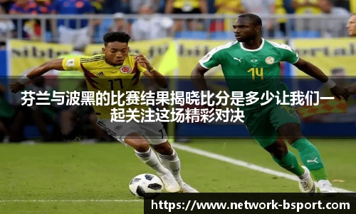 芬兰与波黑的比赛结果揭晓比分是多少让我们一起关注这场精彩对决